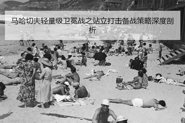 马哈切夫轻量级卫冕战之站立打击备战策略深度剖析